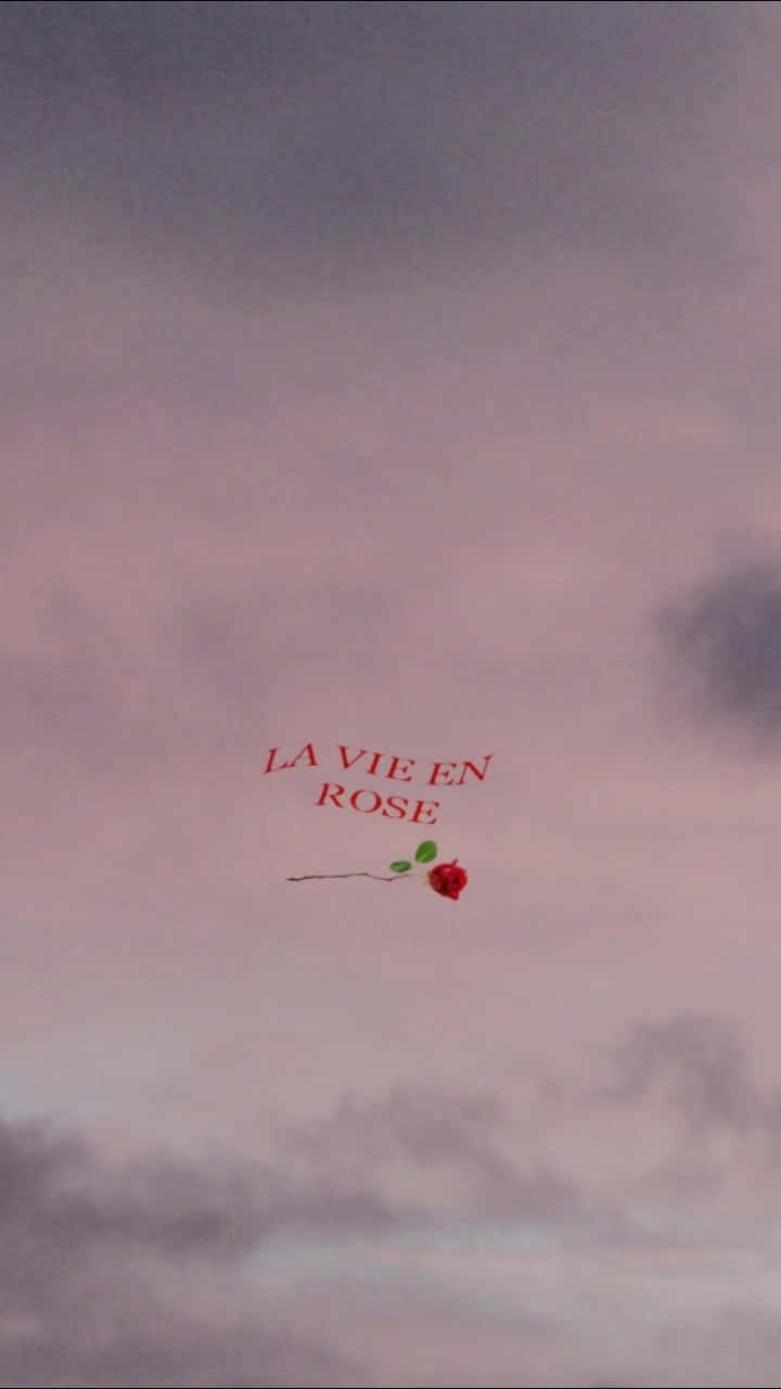 La Vien Red Rose Aesthetic