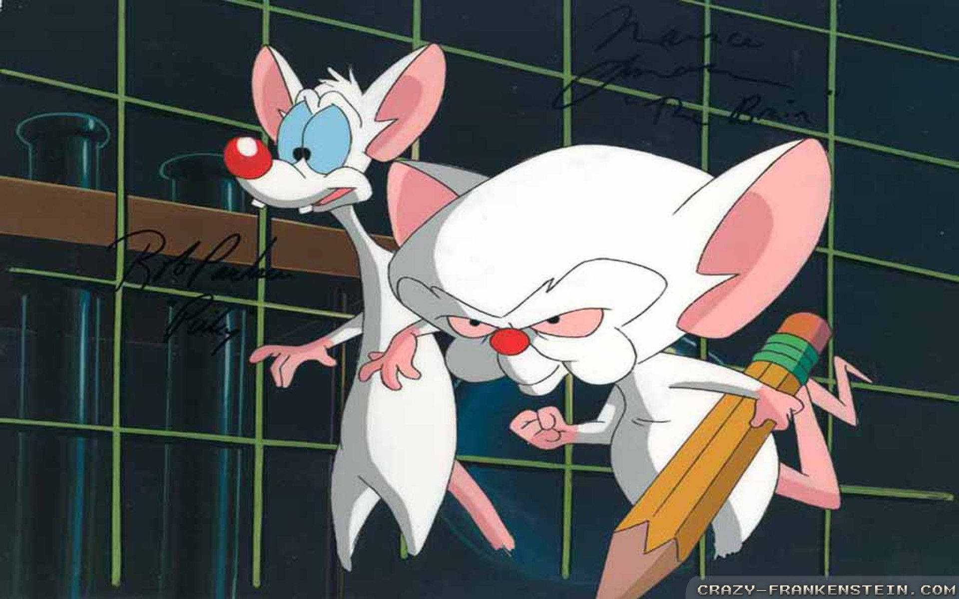 Laboratory Mice Pinky And The Brain Background