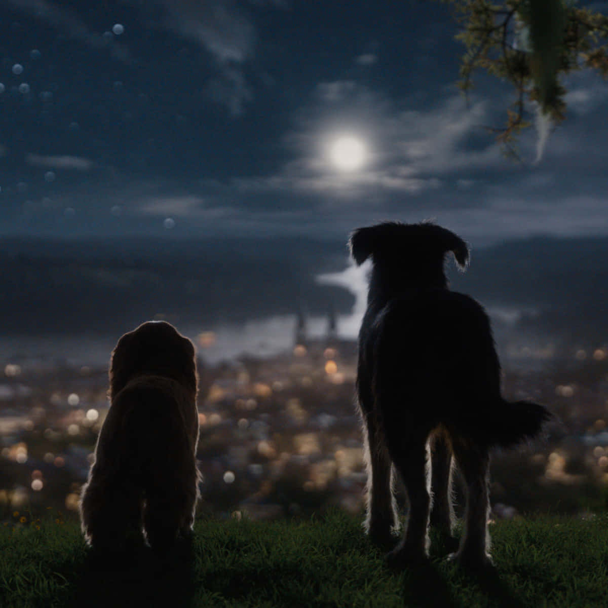 Lady And The Tramp Sharing A Romantic Spaghetti Dinner Together Background