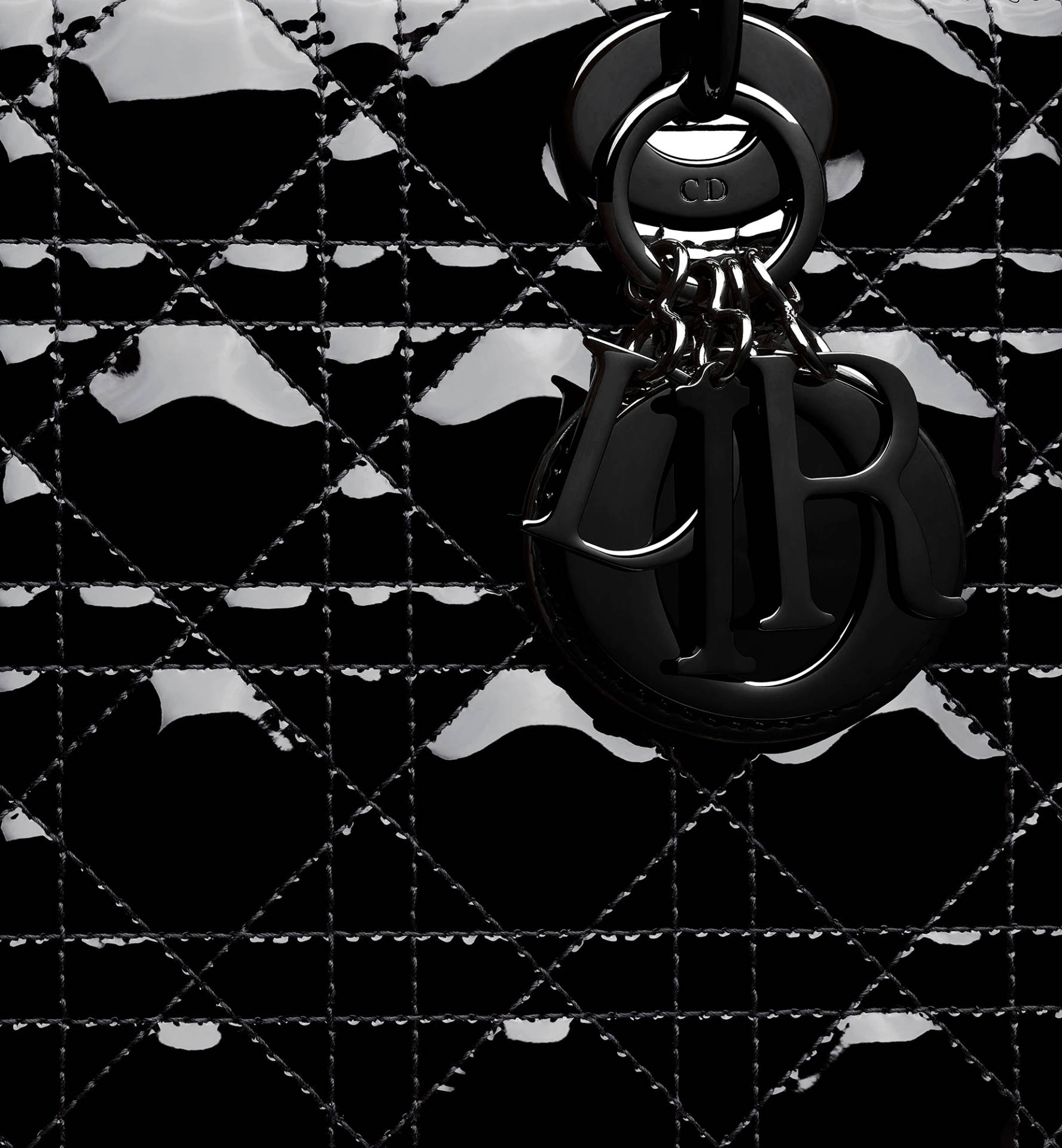 Lady Dior Designer Bag Logo Background