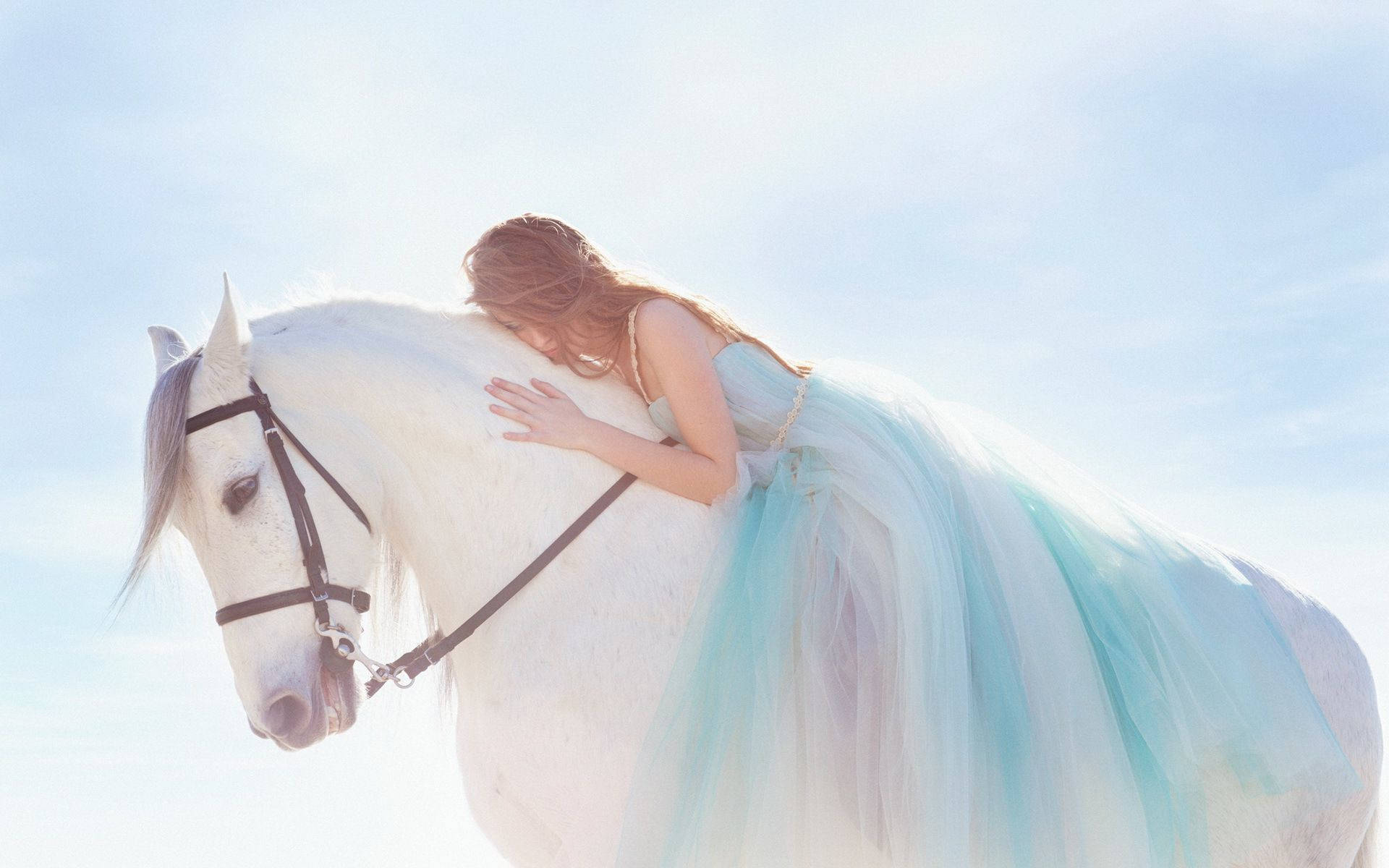 Lady Kissing A White Horse Background