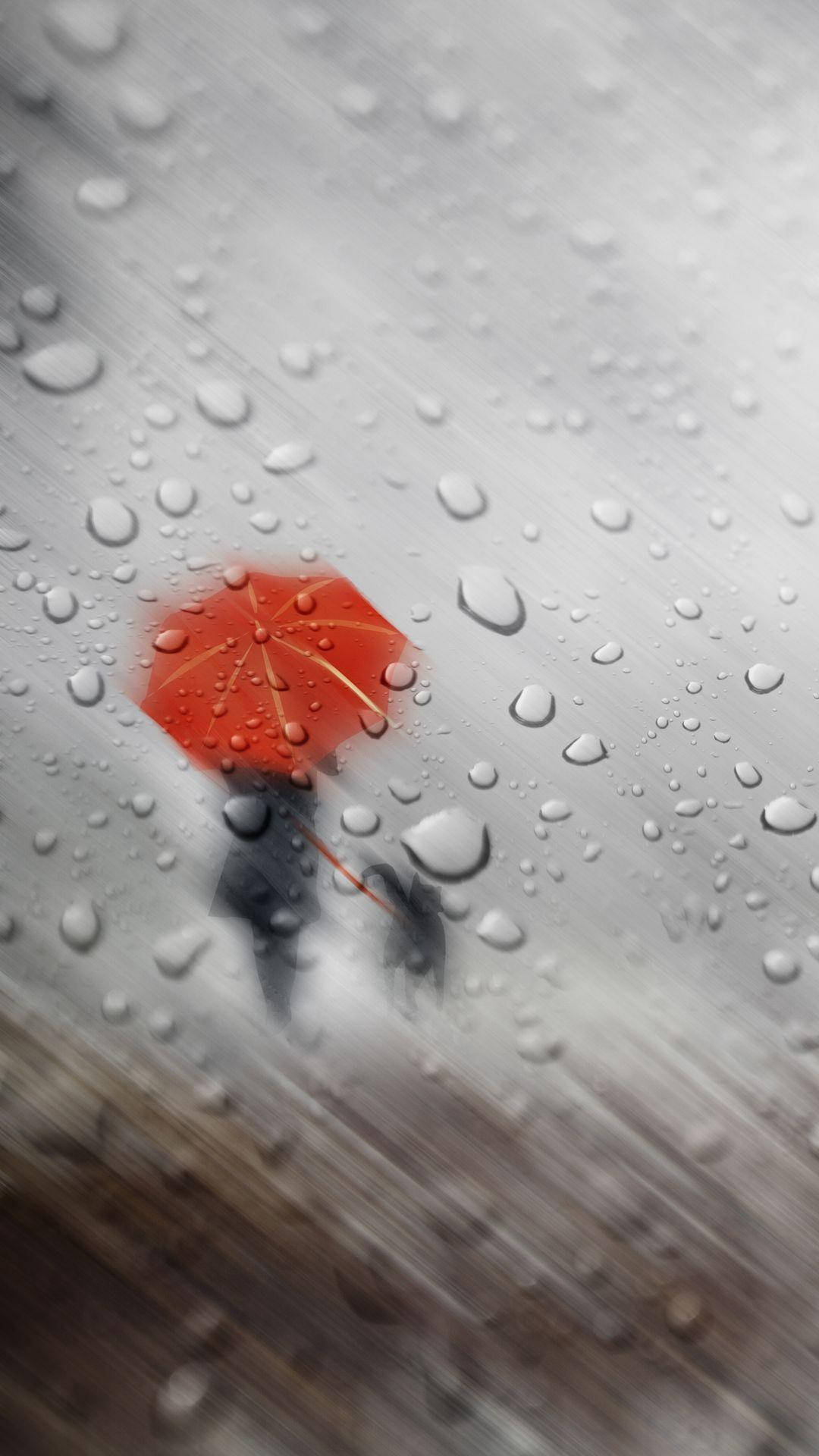 Lady With Cat In Beautiful Rain Background