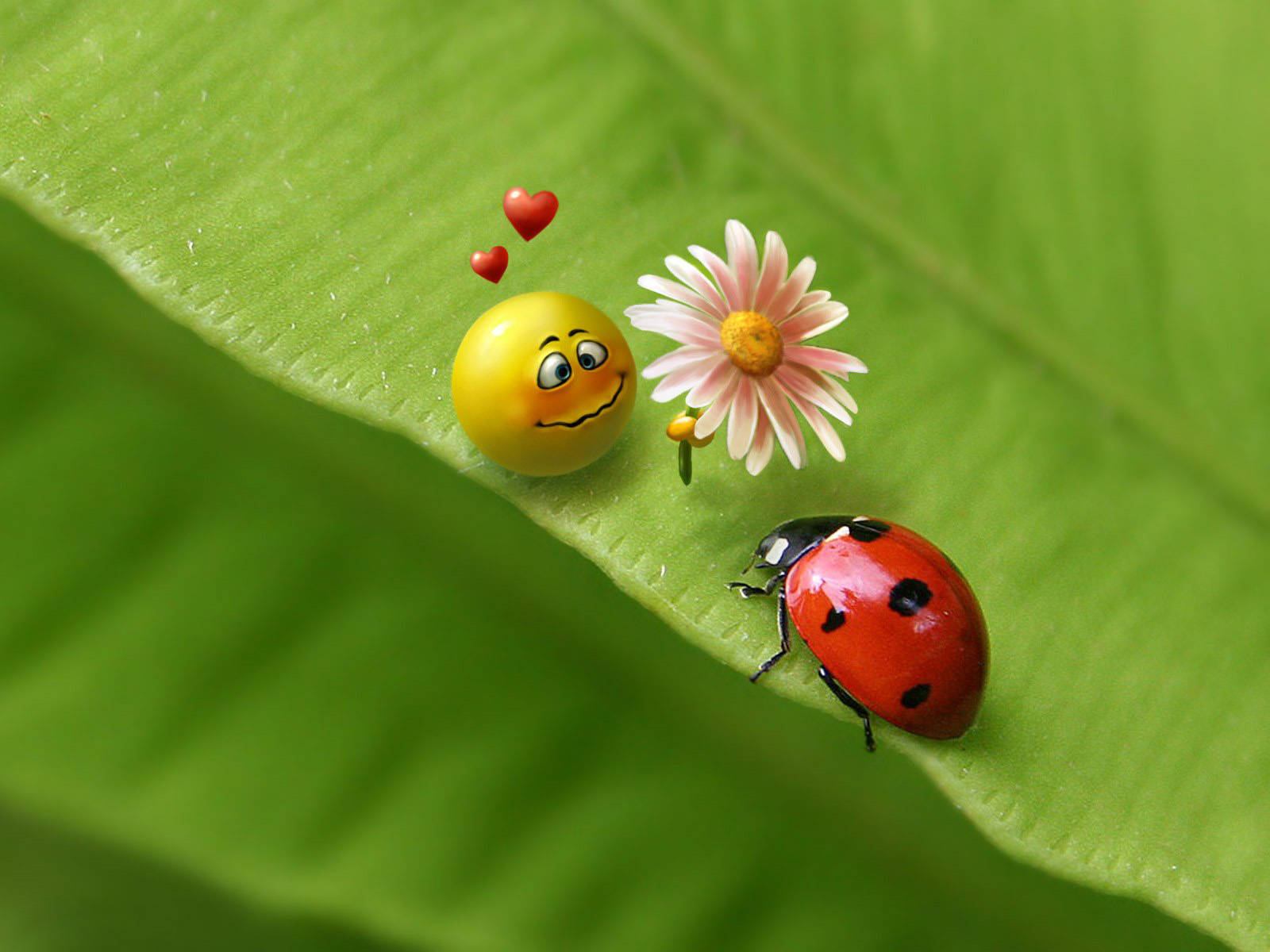 Ladybug And A Smiley Emoji Background