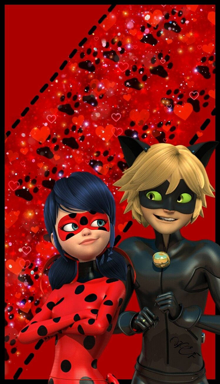 Ladybug And Cat Noir From Miraculous Glittery Background