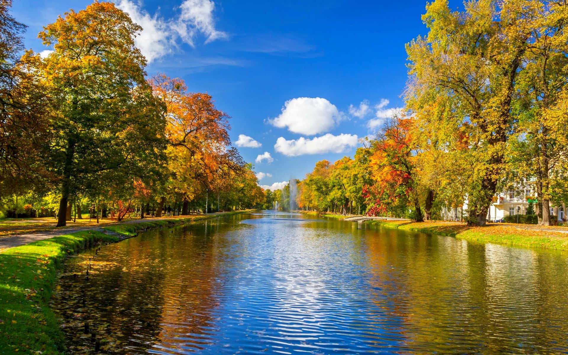Lake And Autumn Park Surrounded With Trees Background