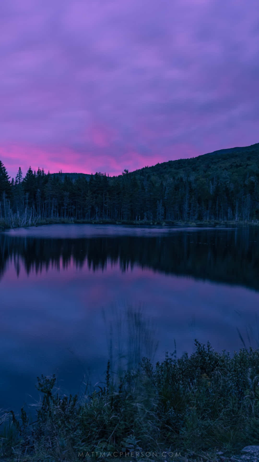 Lake And Trees Under Purple Evening Sky