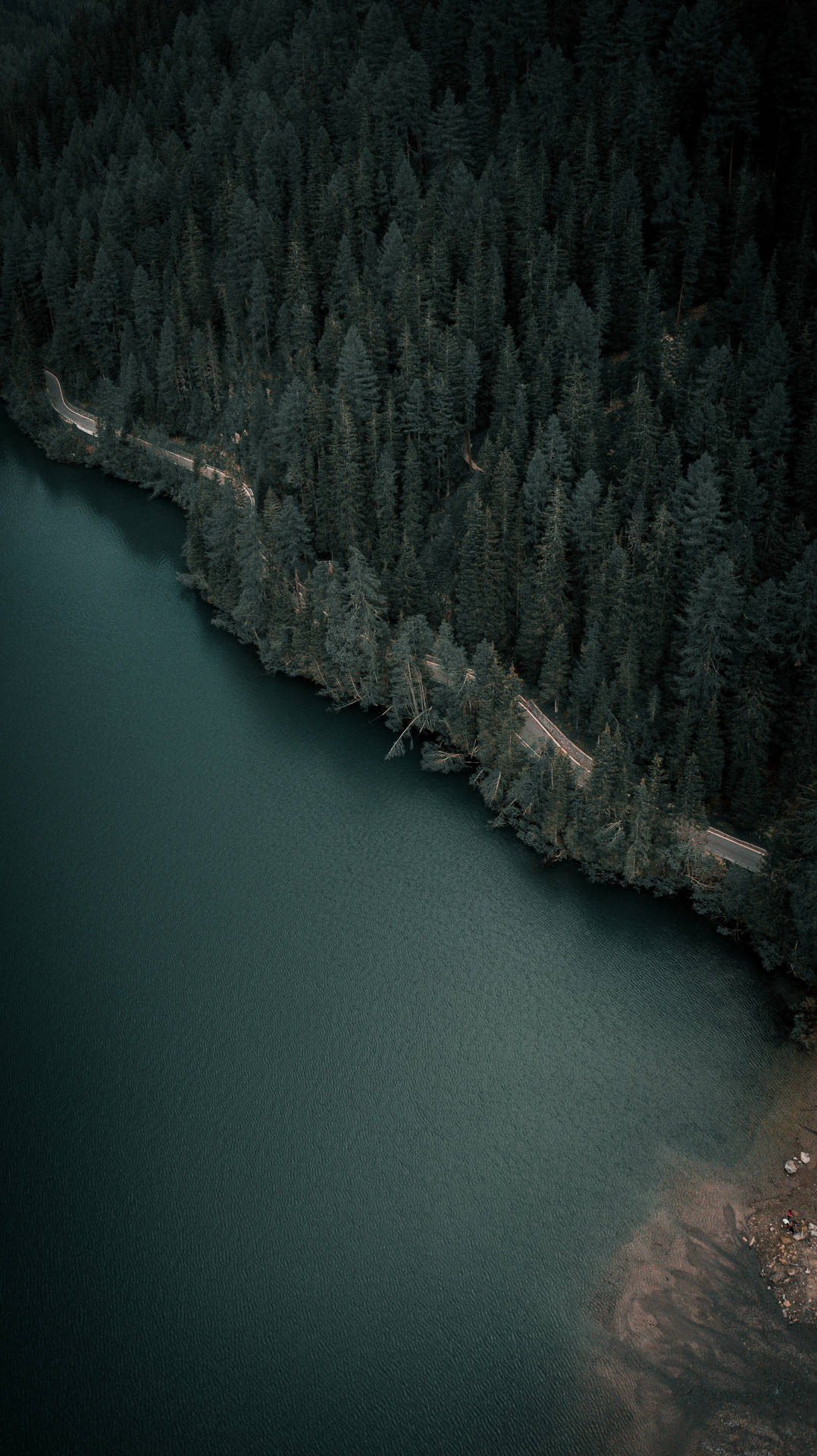 Lake Beside Dark Forest Iphone Background