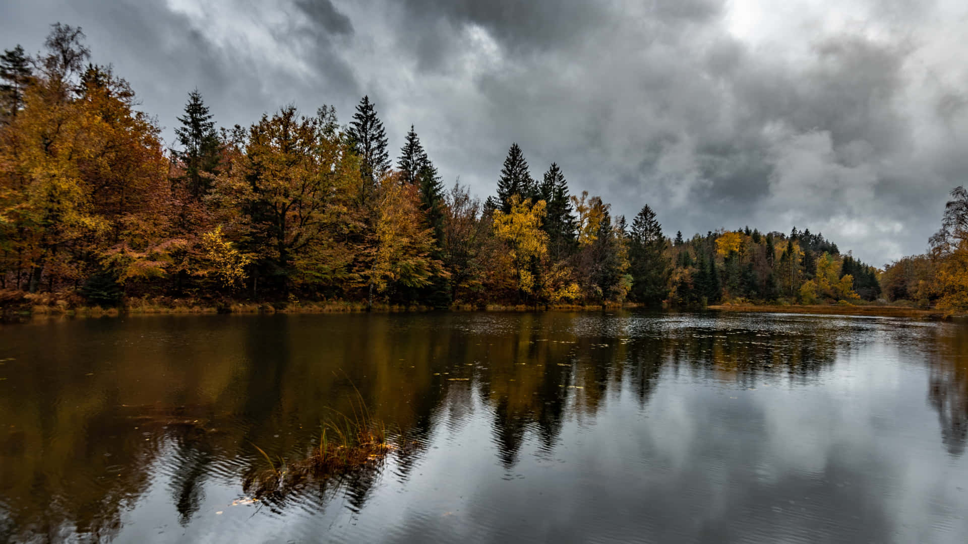 Lake During Early Fall Background