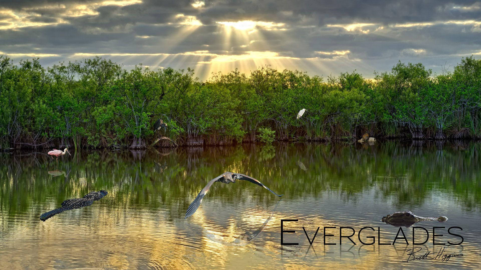 Lake Everglades National Park Background