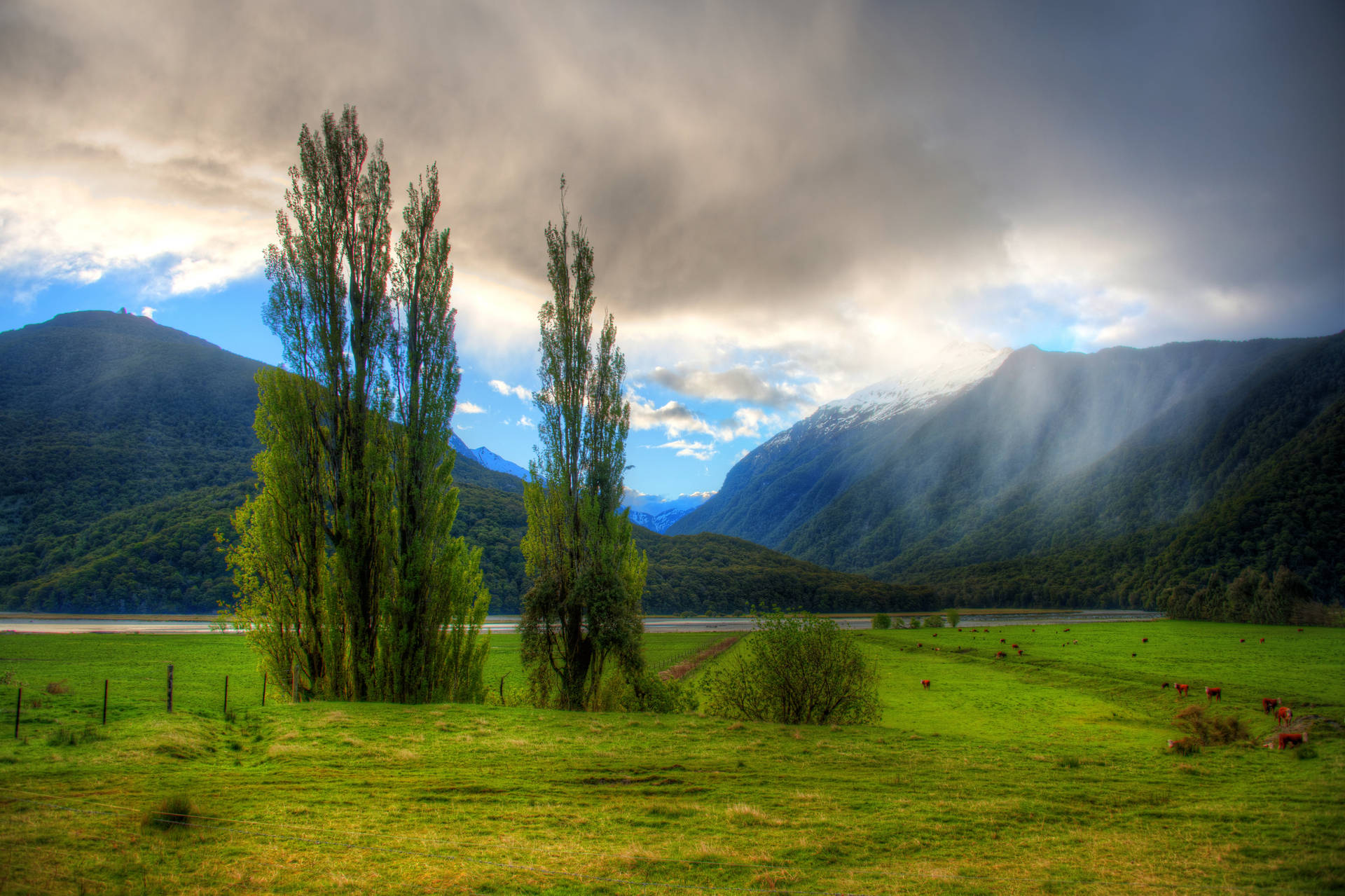 Lake Front Ranch In New Zealand Background