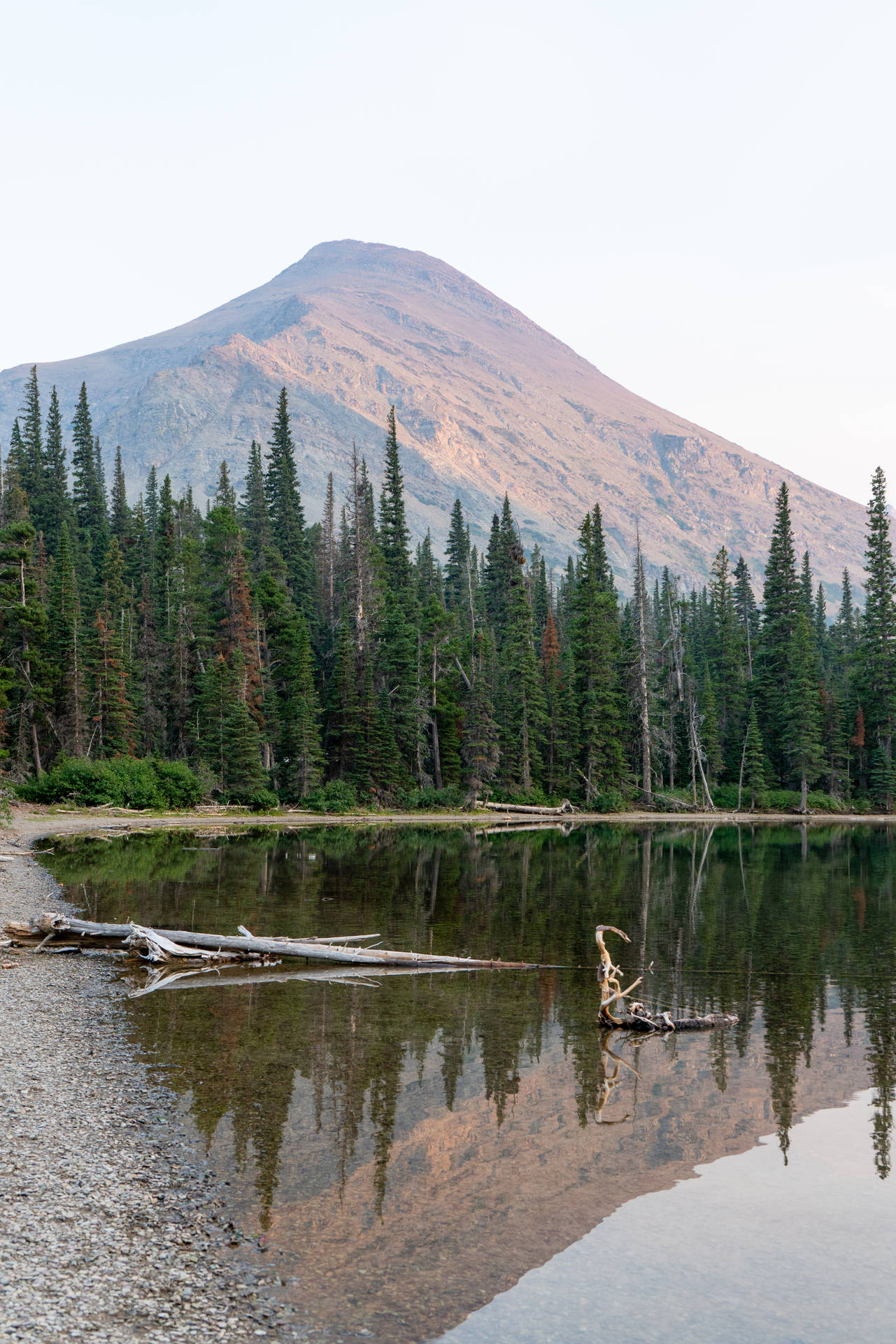 Lake Shoreline And Trees In Montana Iphone Background