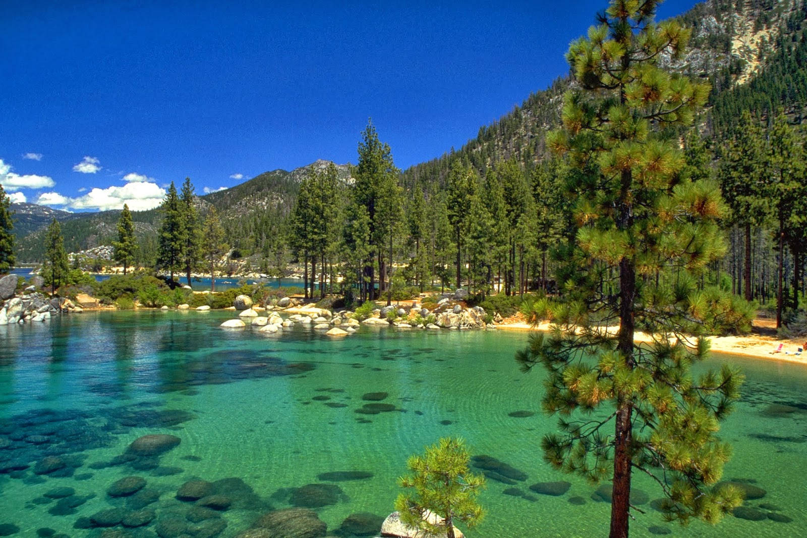 Lake Tahoe California Background