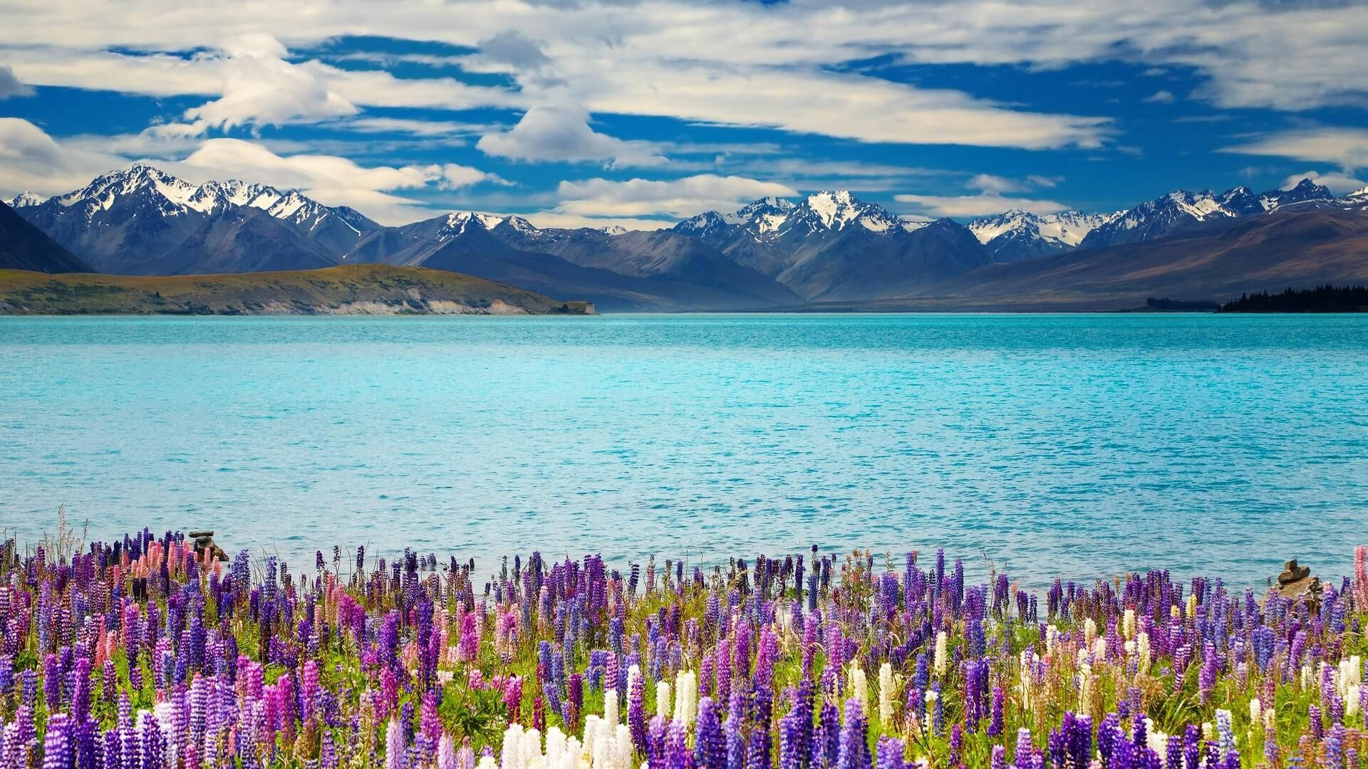 Lake Tekapo New Zealand Background