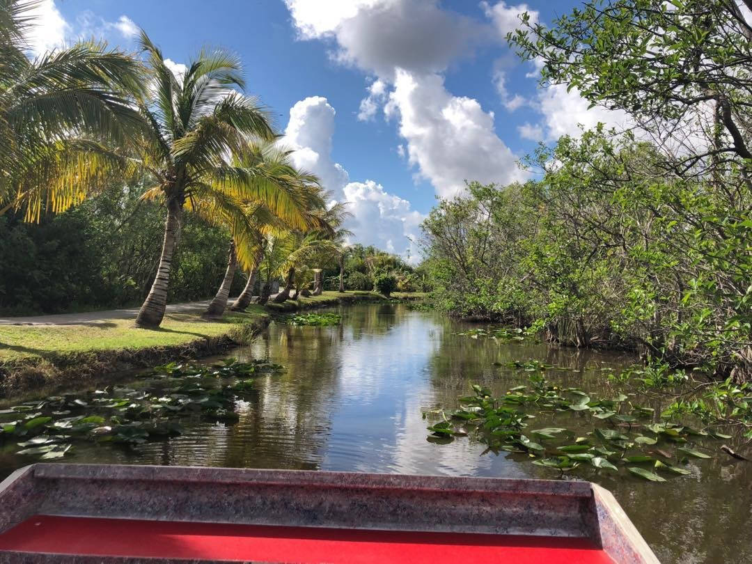 Lake Trees Everglades National Park Background