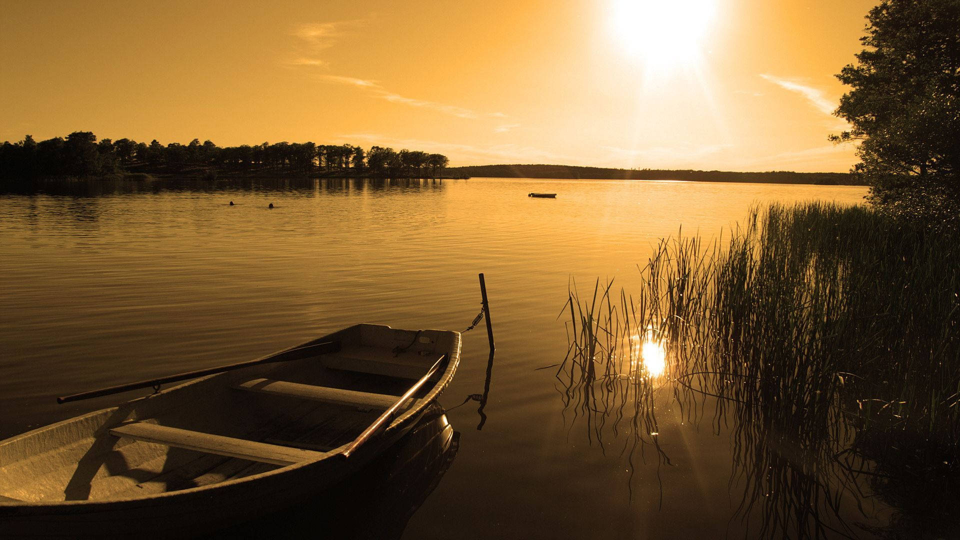 Lake View In Sepia Color