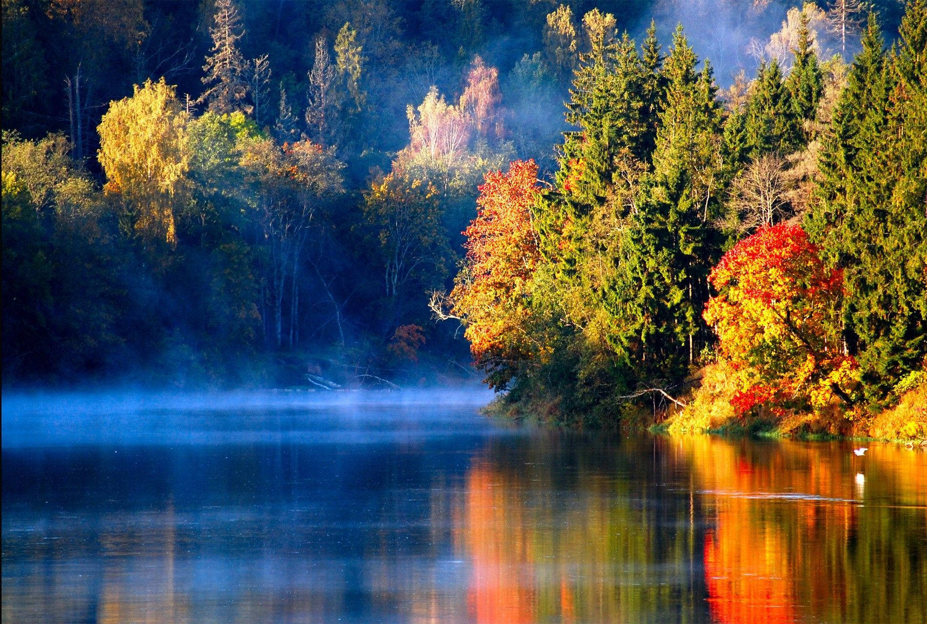 Lake View With Colorful Trees Background