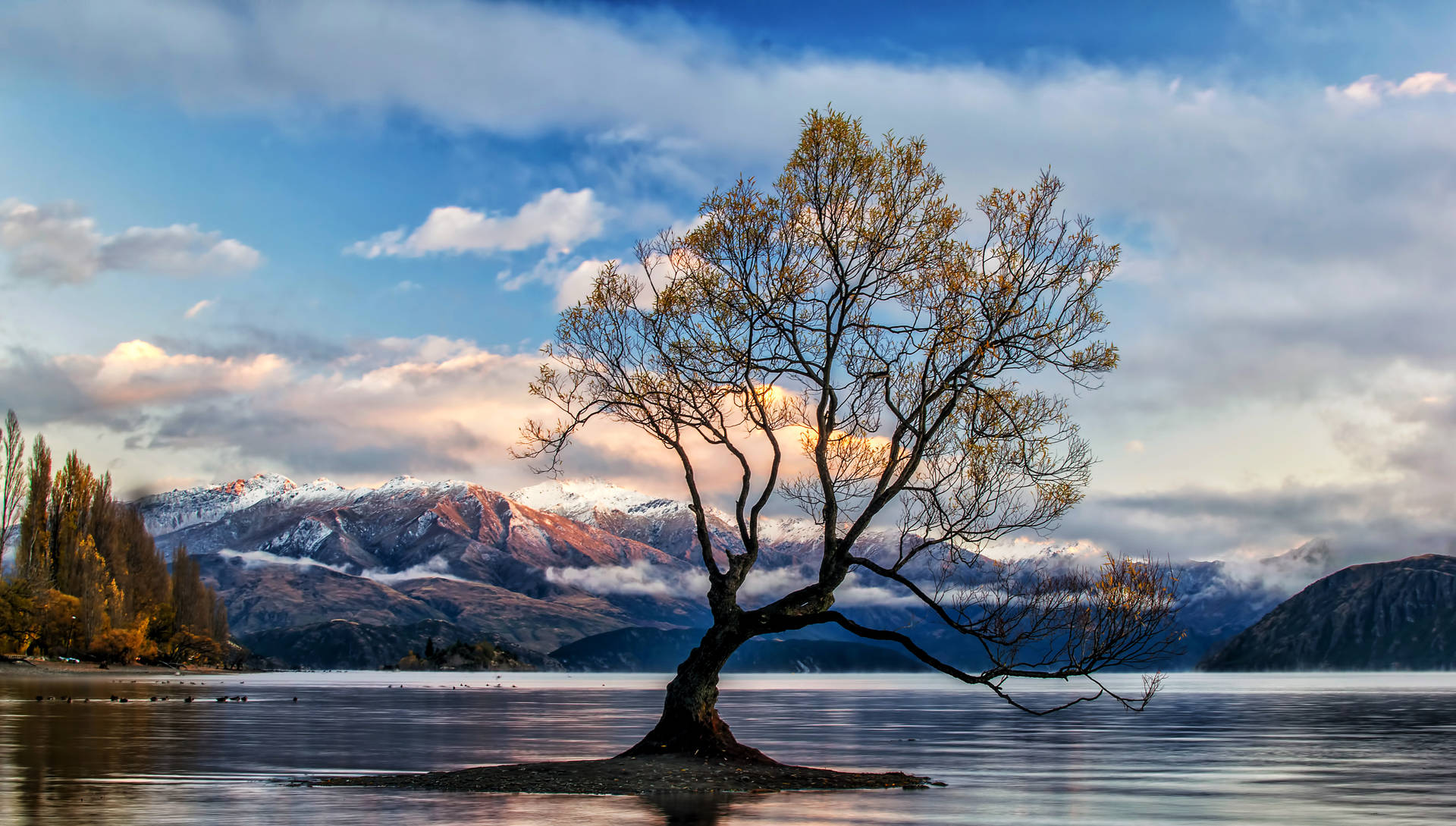 Lake Wanaka New Zealand Background