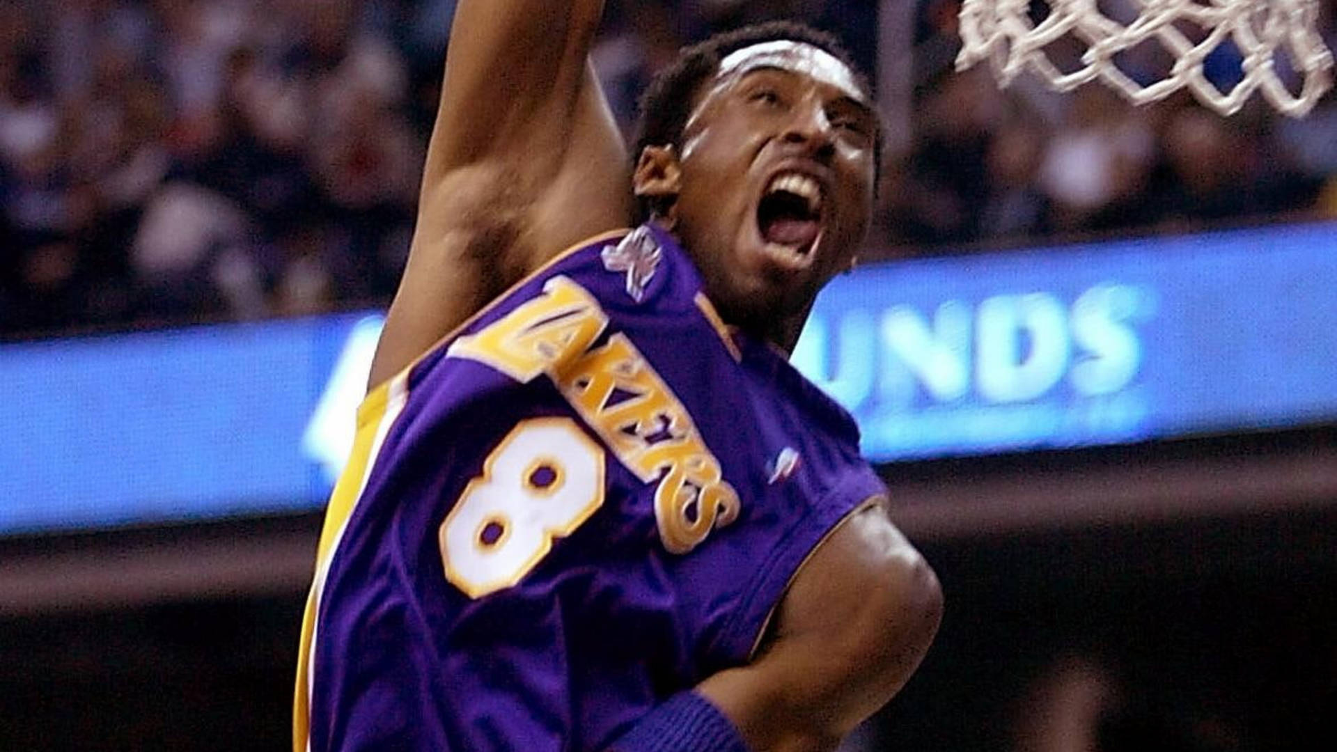 Lakers Hd Kobe Dunk Background
