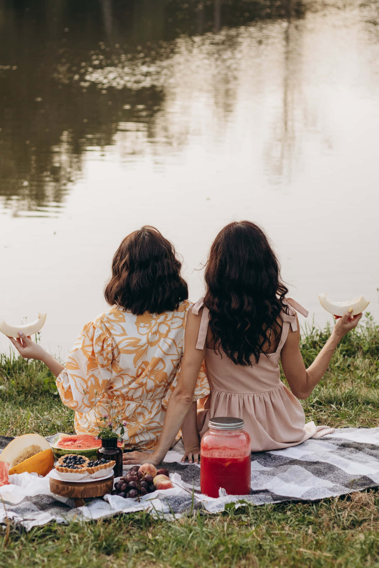 Lakeside Picnic Friends Enjoying Background