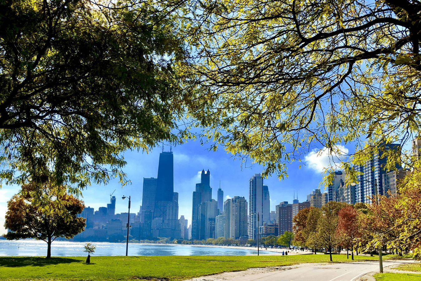 Lakeview In Lincoln Park, Chicago, Illinois Background