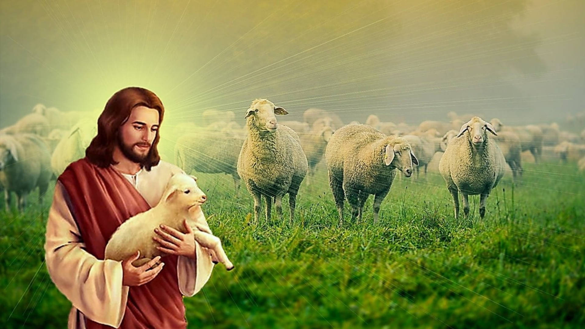 Lamb Jesus Desktop