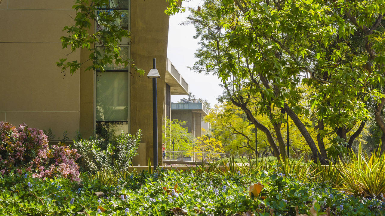 Lamp Post In Garden At Caltech