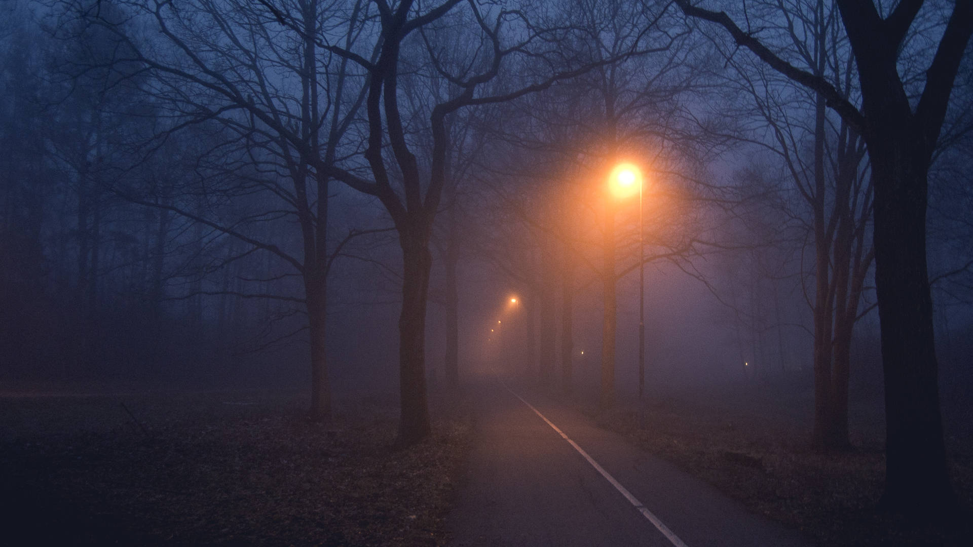 Lamp Posts In Foggy Forest Background