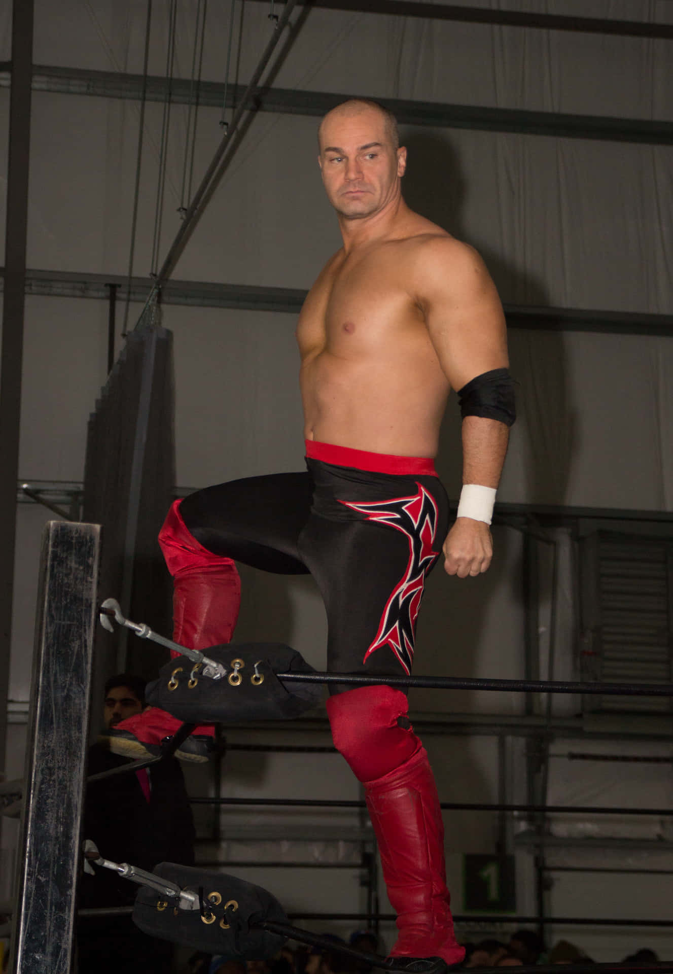 Lance Storm, Notable Retired Canadian Professional Wrestler Background