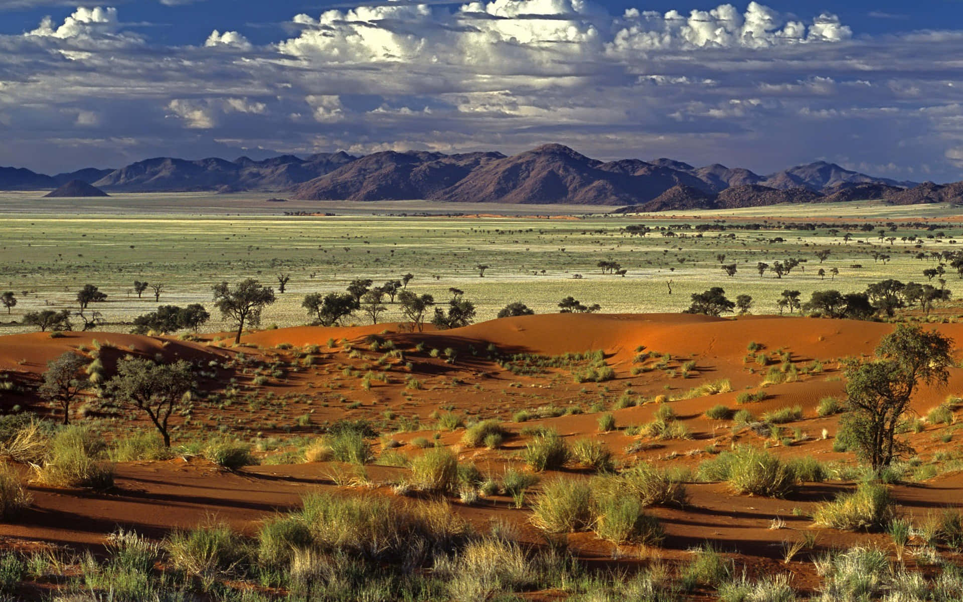 Landscape In Africa Hd Background