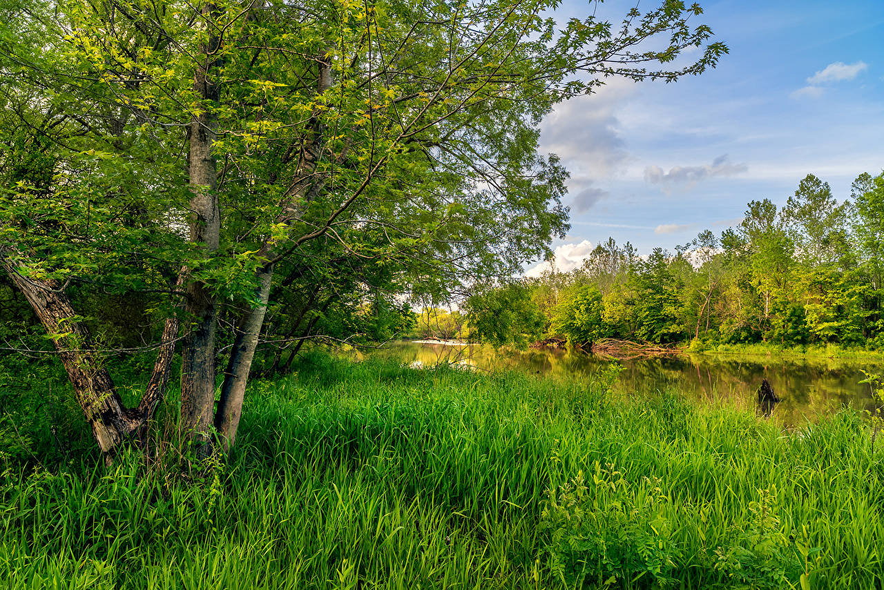 Landscape In Missouri Is Lovely Background