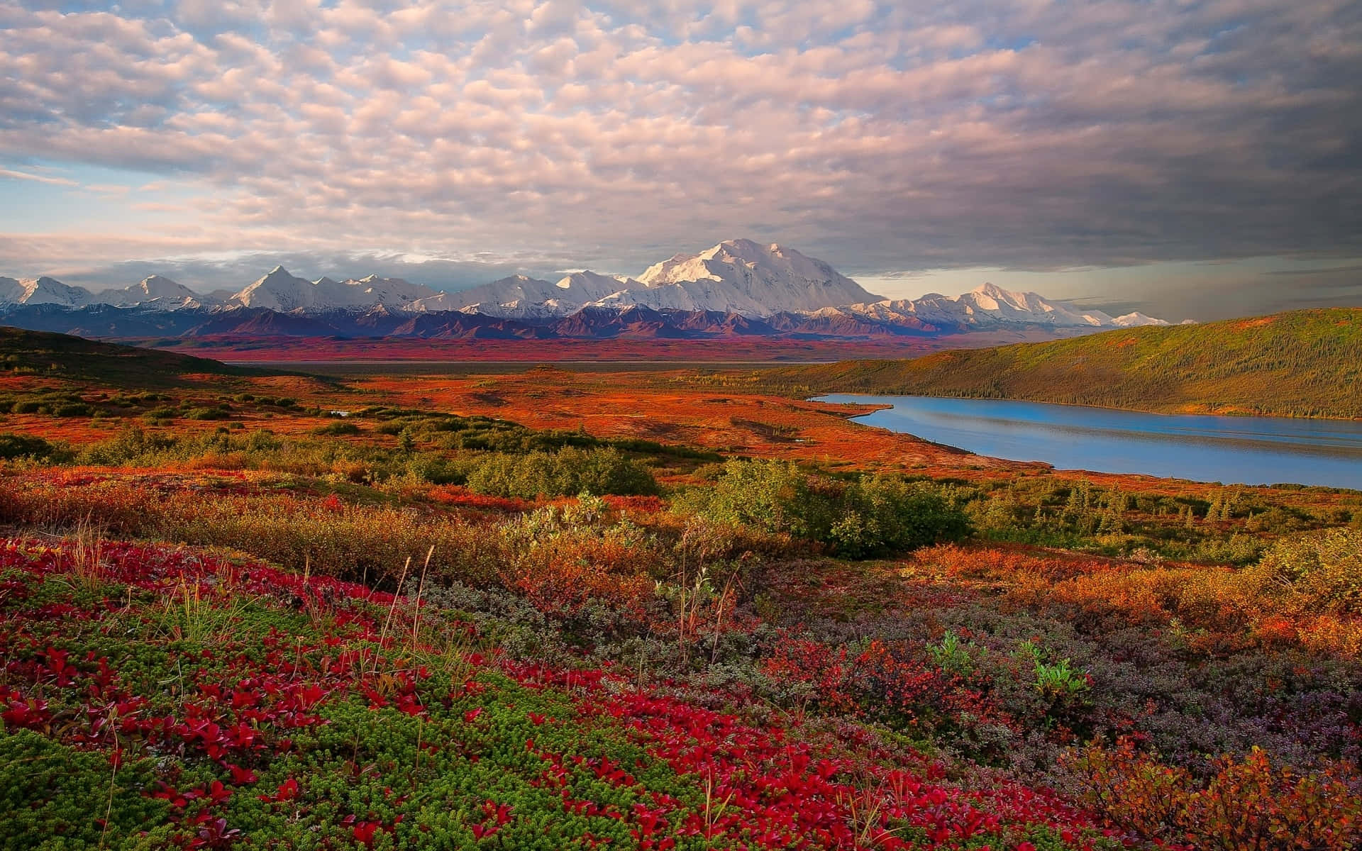 Landscape With Shrubbery Near Tundra Mountains Background