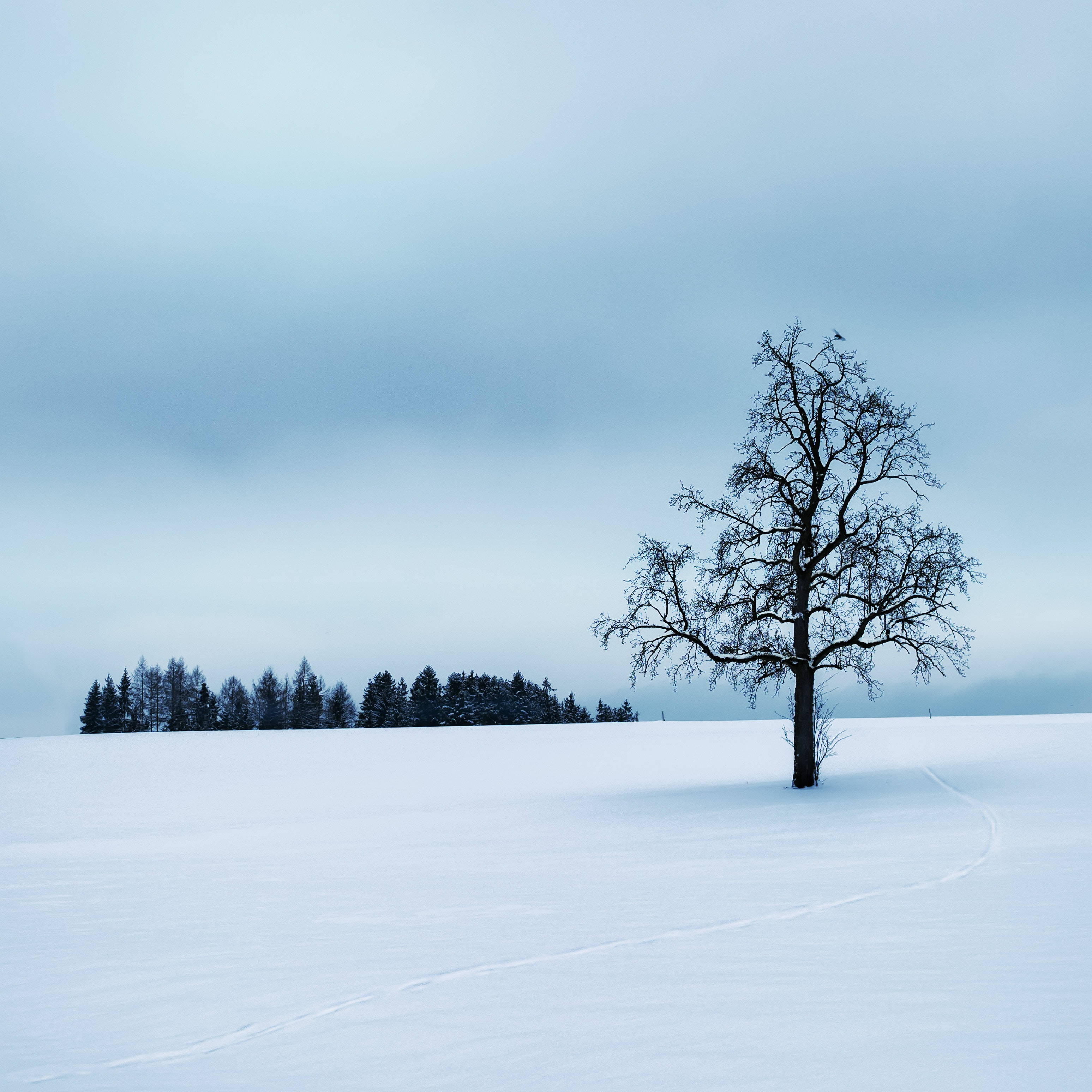 Landscape With Snow Vincent Van Gogh Winter Scenery Background