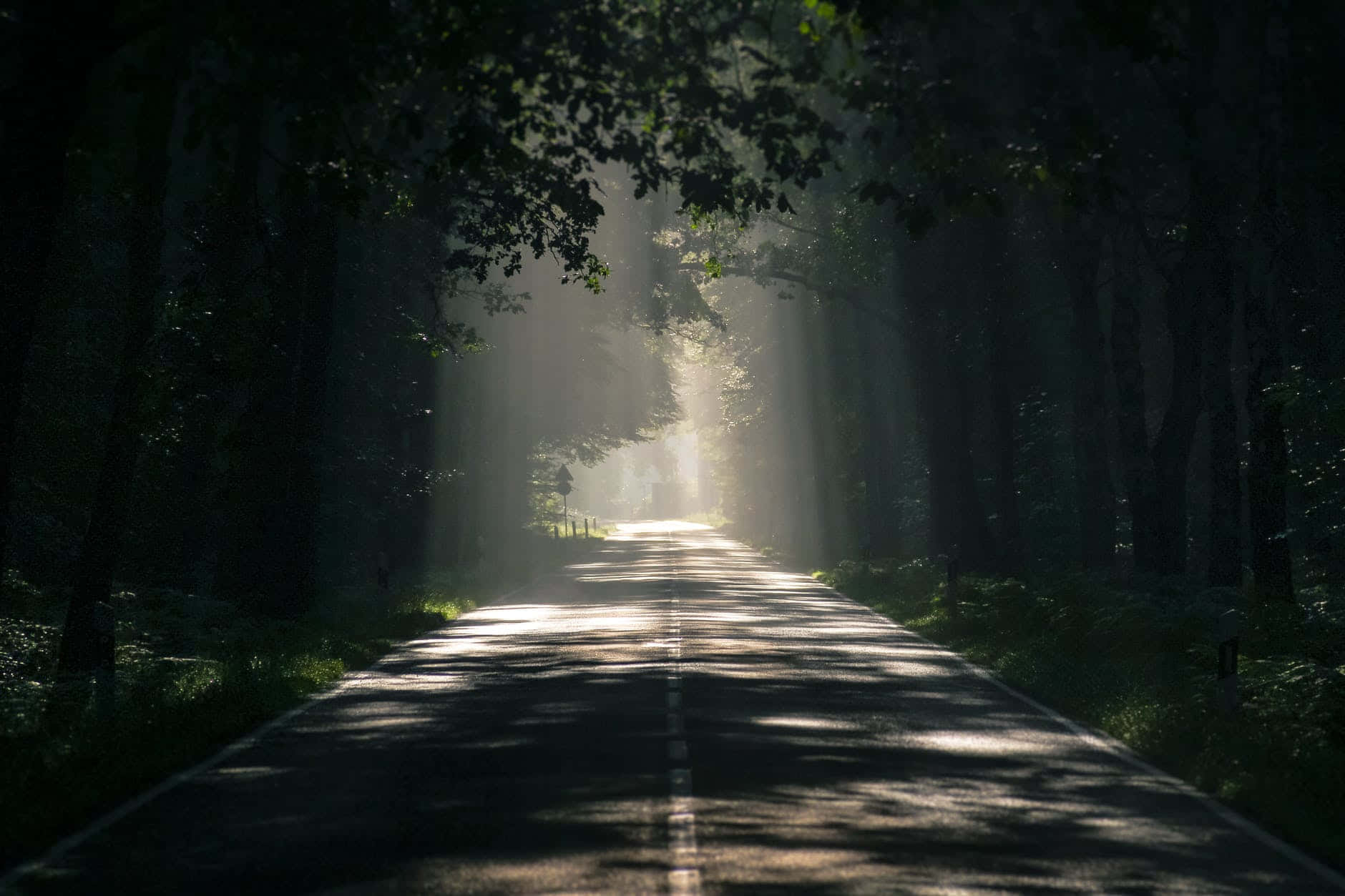 Languishing Empty Road Background