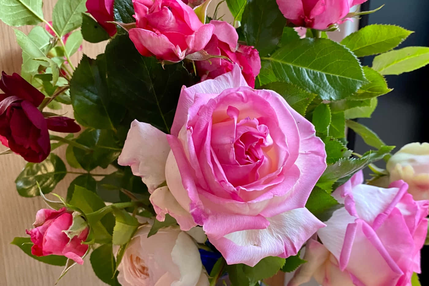 Languishing Roses Hd Background