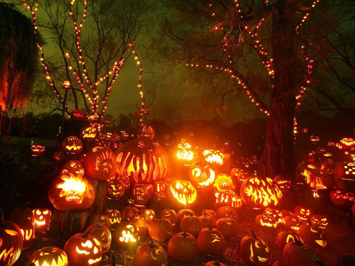 Lanterns Under Trees Fall Halloween Background