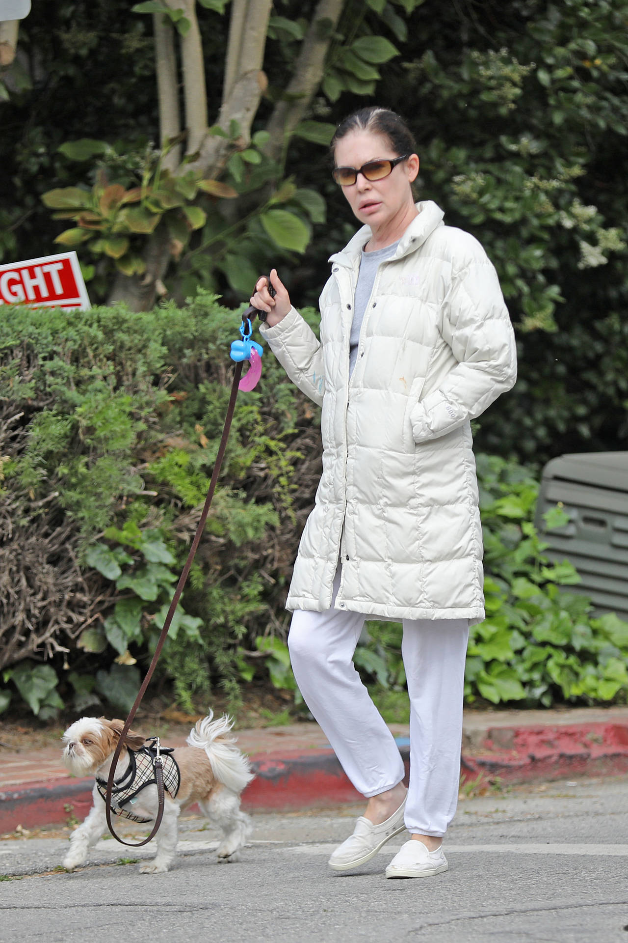 Lara Flynn Boyle Walks Her Dog