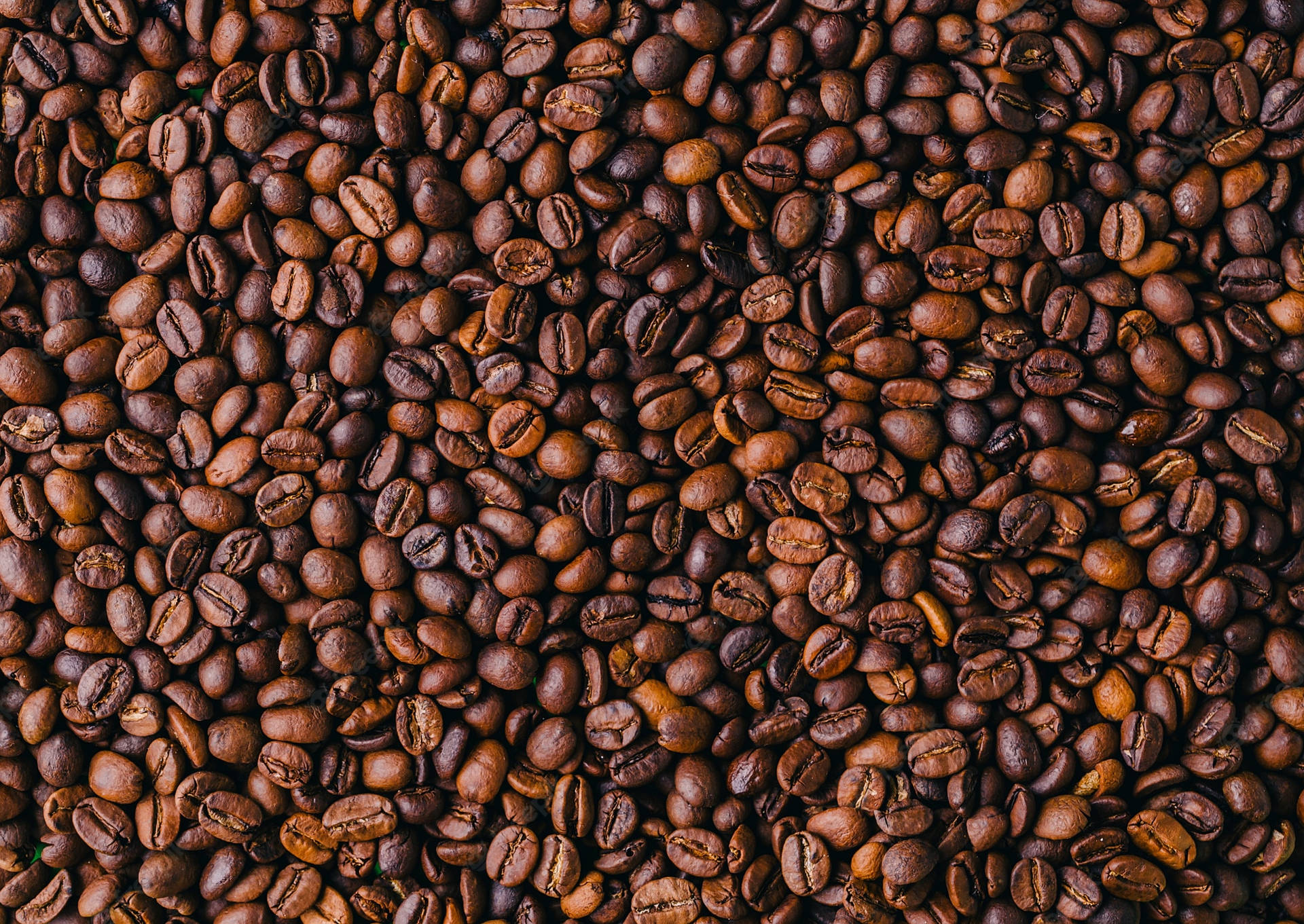 Large Area Of Coffee Beans