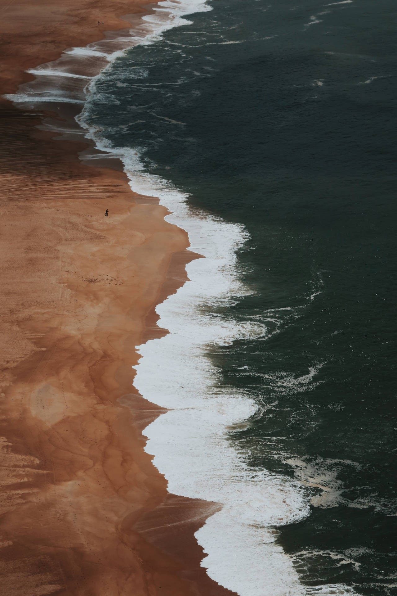 Large Beach Aerial View Background