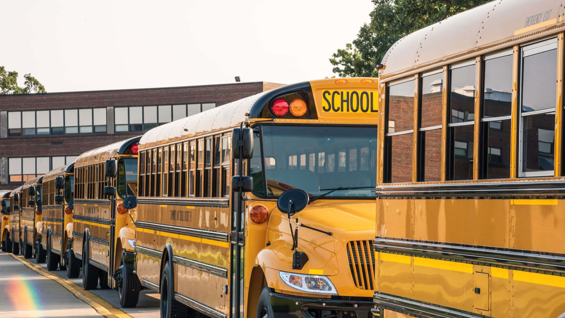 Large Fleet Of Yellow School Buses Parked At A School Background