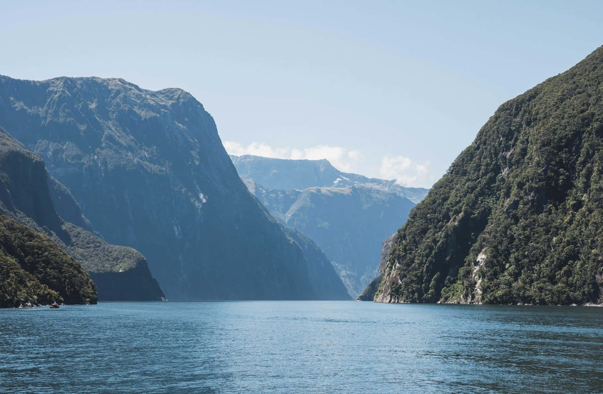 Large Green Milford Sound Background