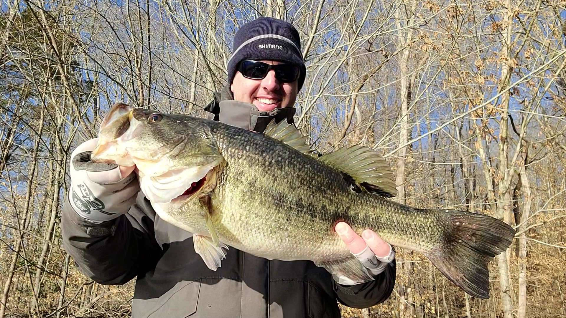 Large & Lively - A Largemouth Bass Against A Blue Lake