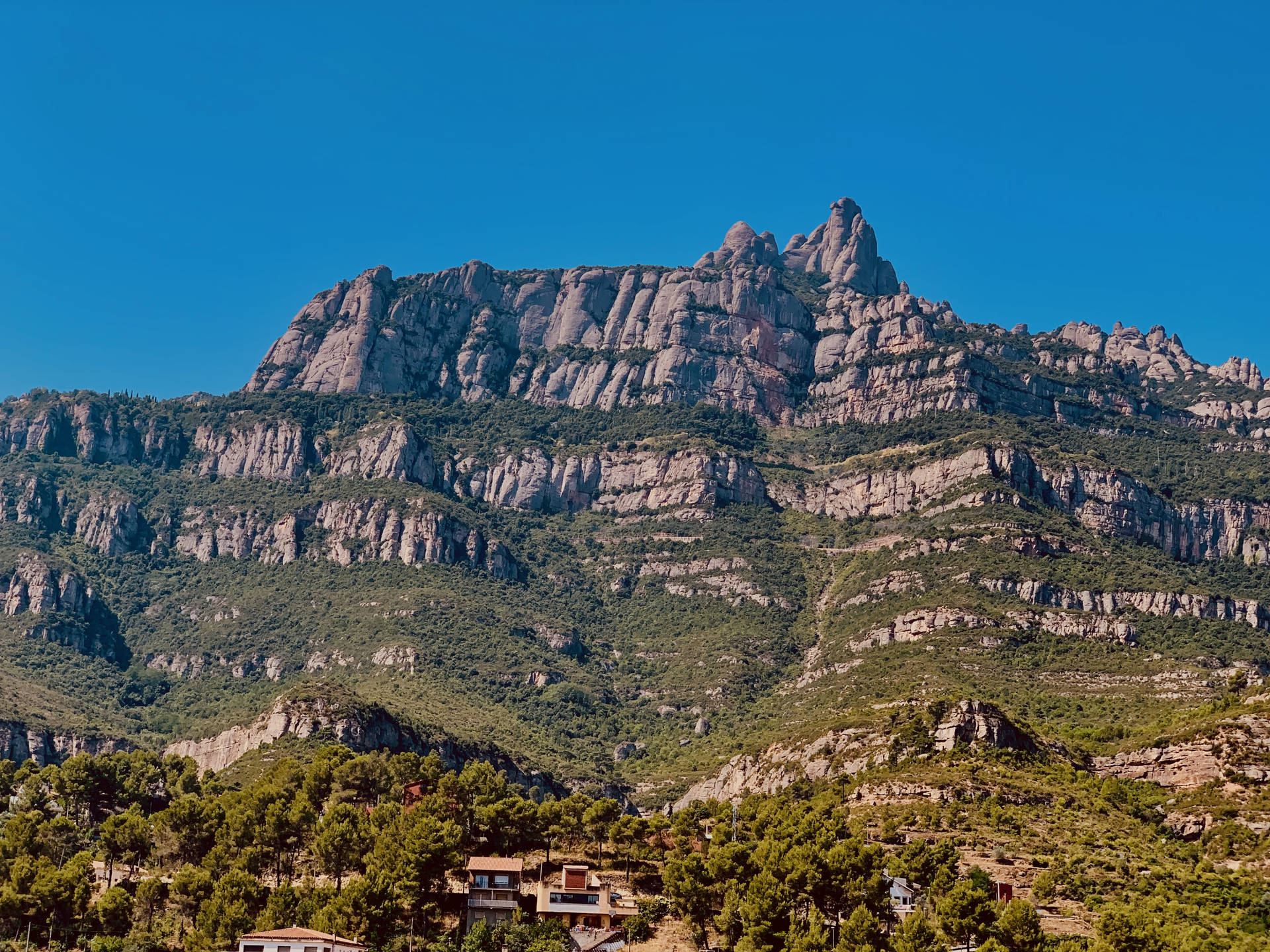 Large Montserrat Patches Background