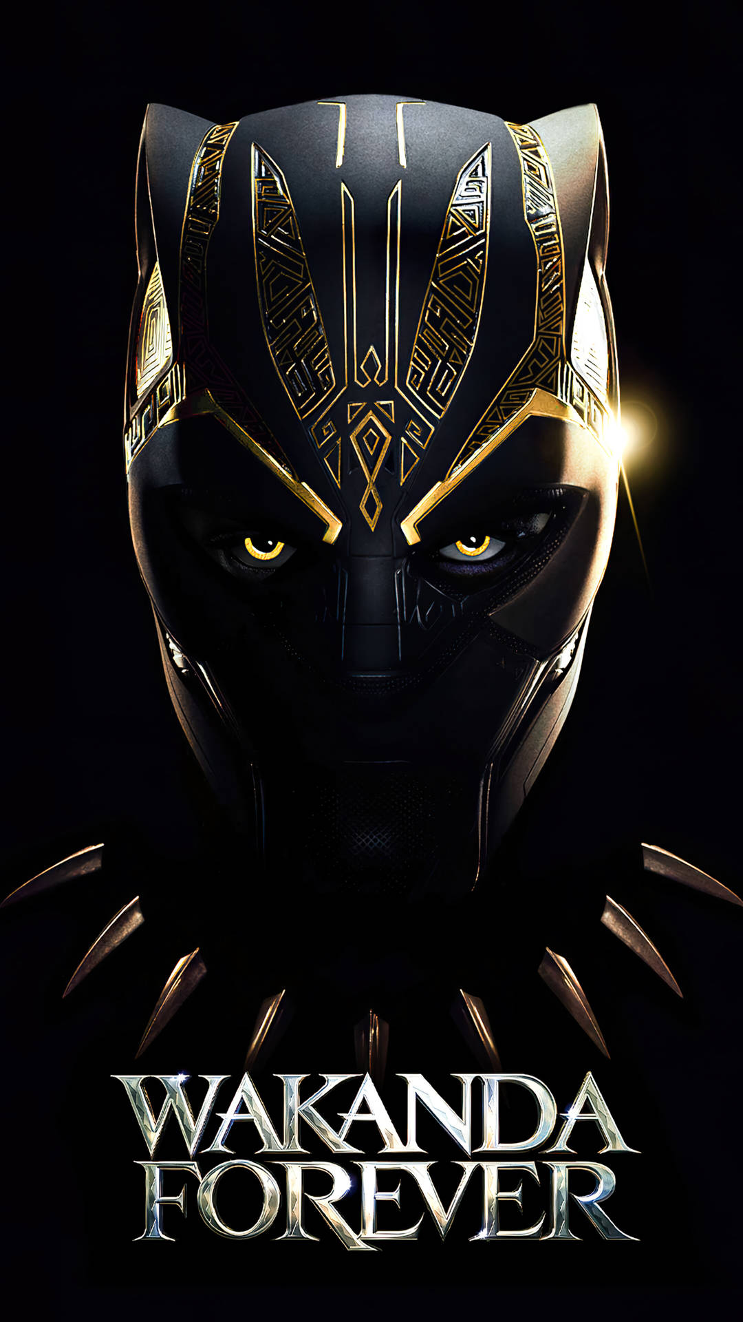 Large Wakanda Forever Symbol And Text Background