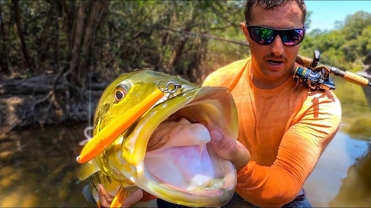 Largemouth Bass Caught In The Lake Background