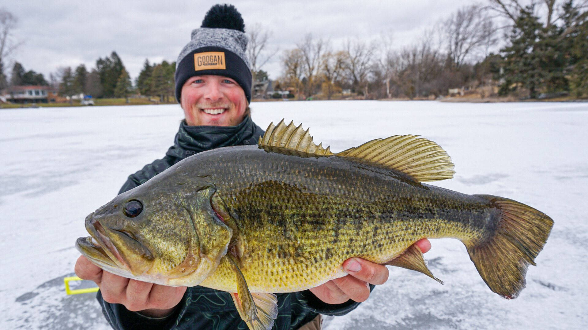 Largemouth Bass Caught On A Winter Background