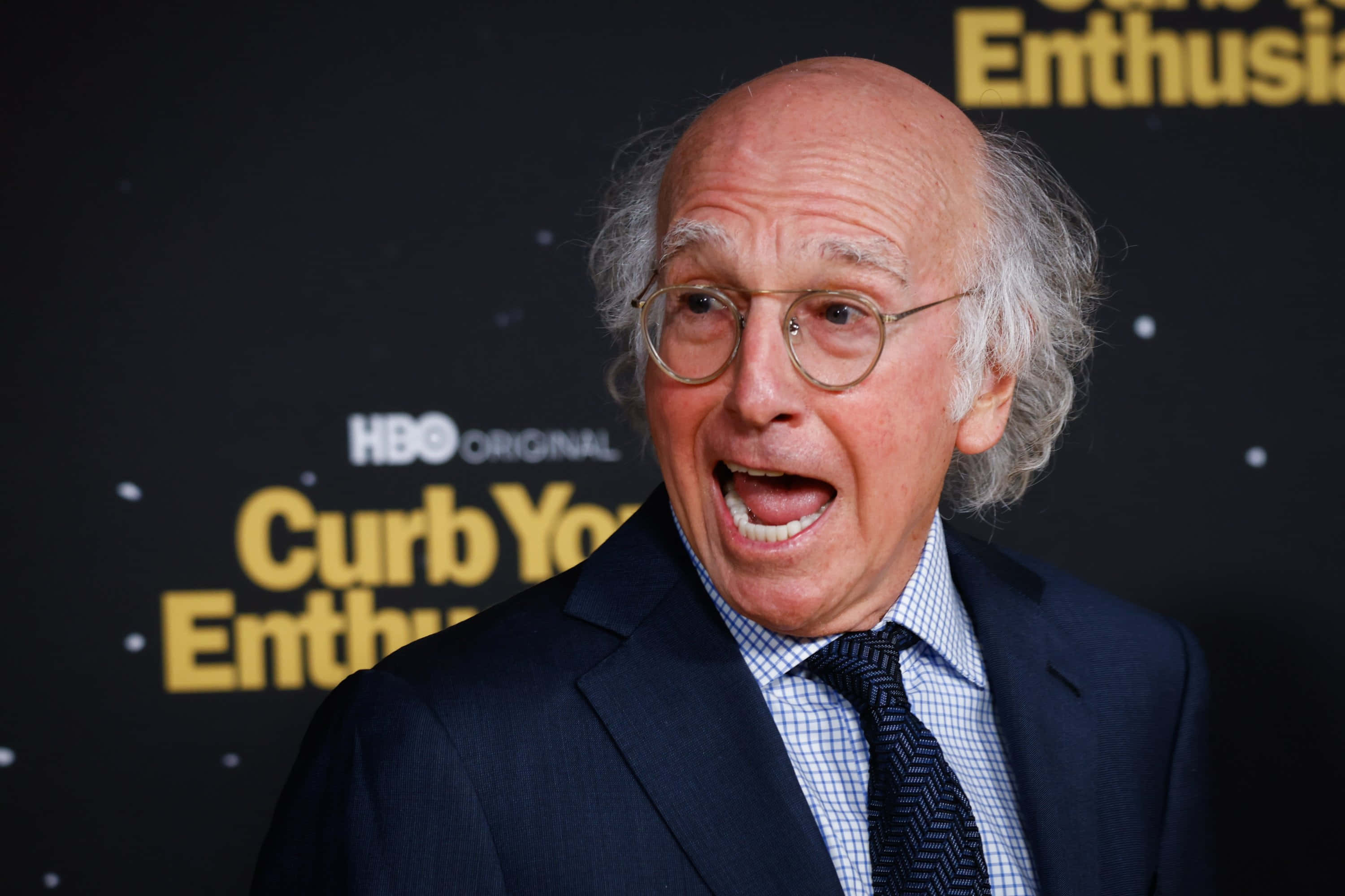 Larry David, Famous Actor, Writer And Producer Background