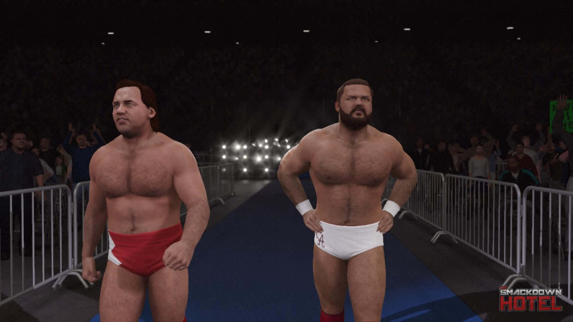 Larry Zbyszko And Arn Anderson In Wwe 2k16 Entrance Background