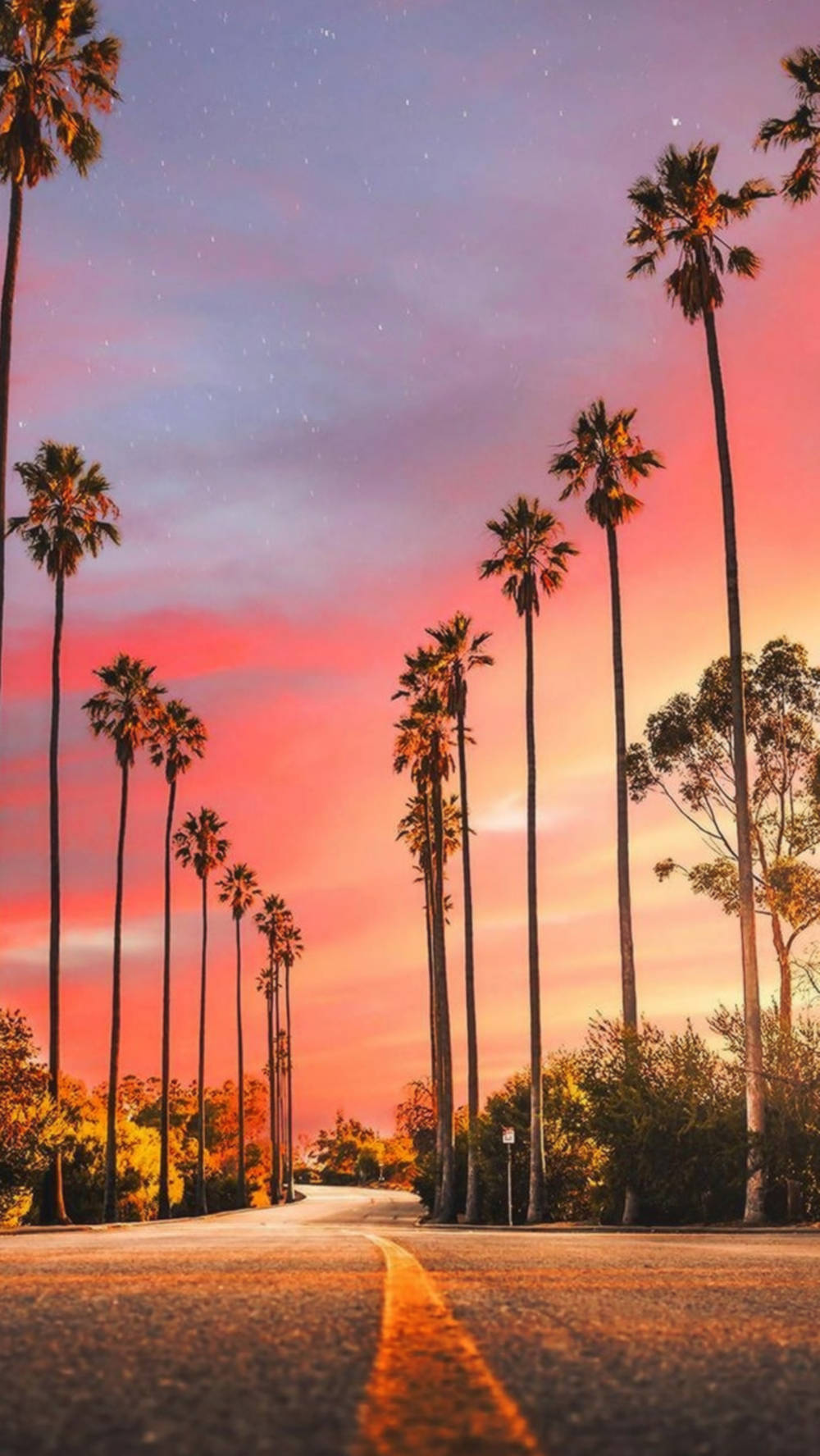 Las Vegas Iphone Palm Tree Sunset Background