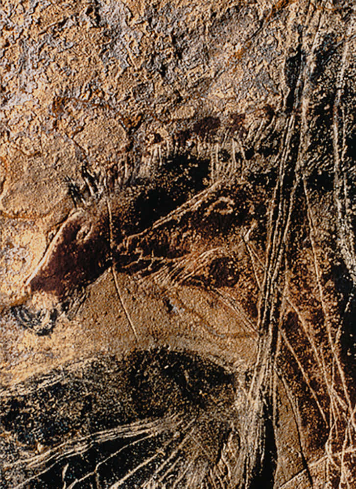 Lascaux Caves