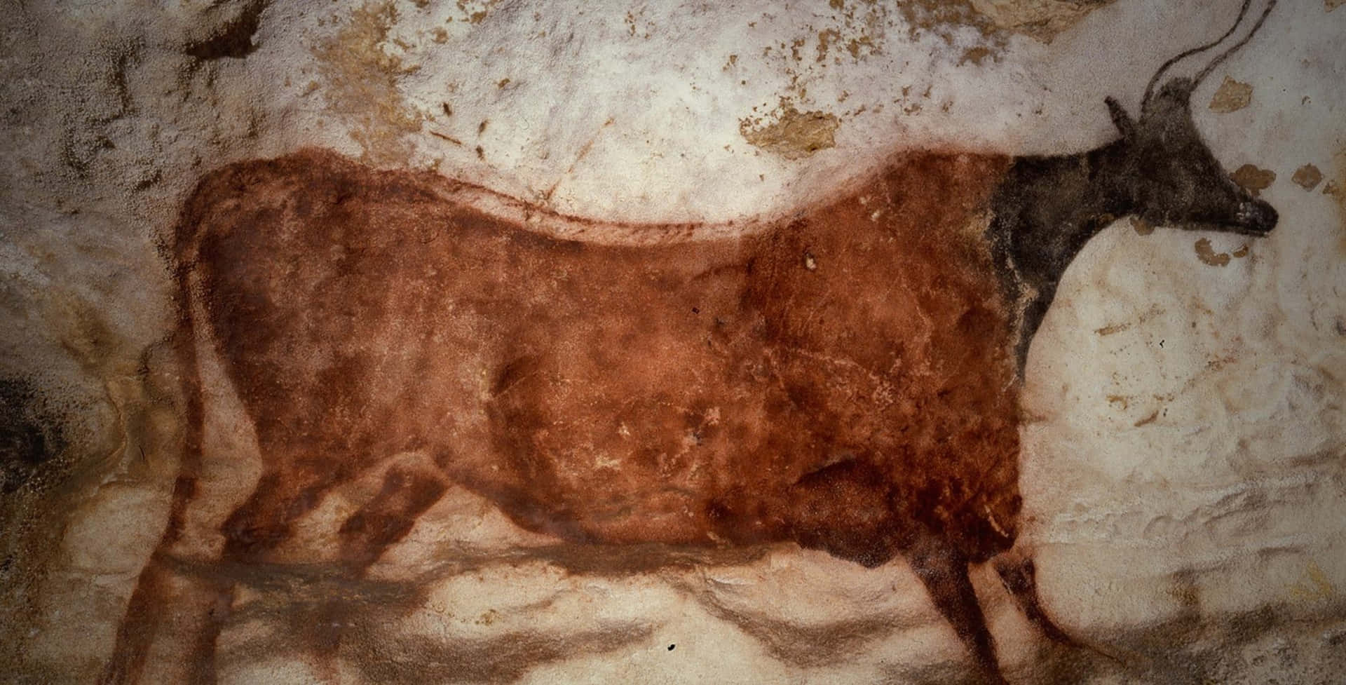 Lascaux Caves Background